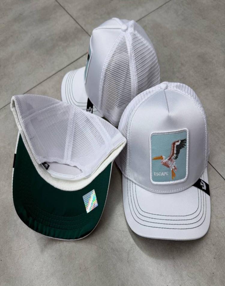 کلاه گورین طرح پلیکان کد3694