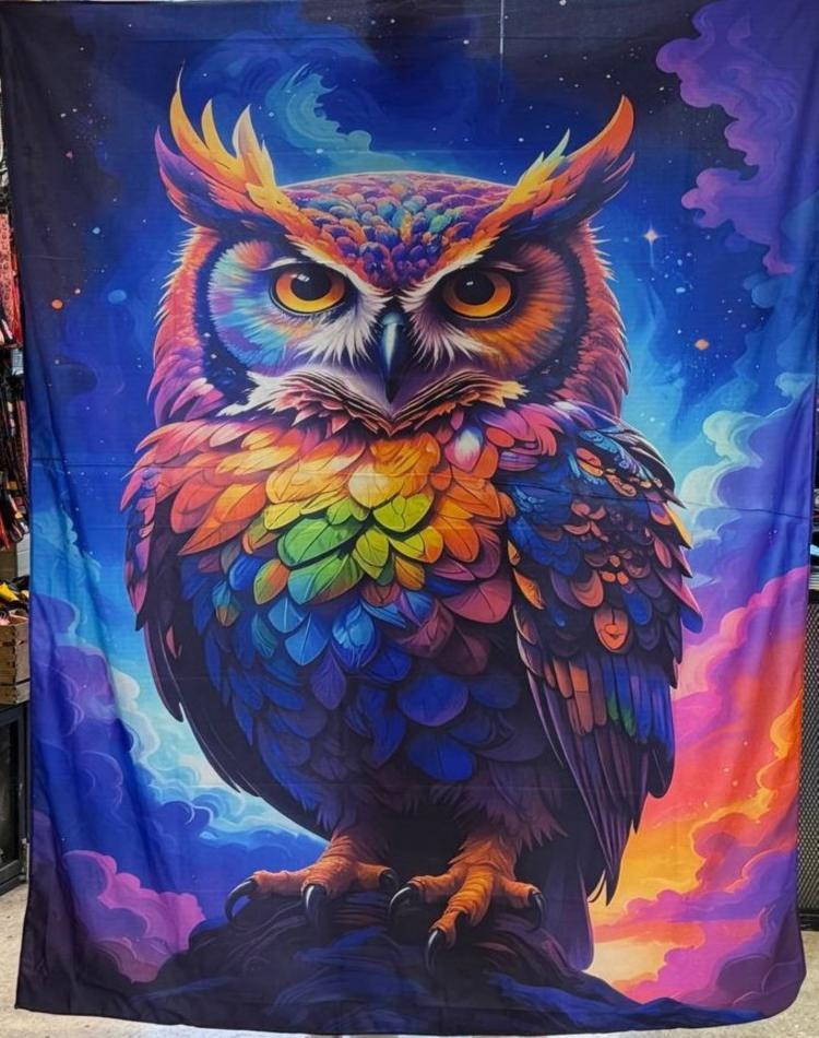 بک دراپ کد 0181